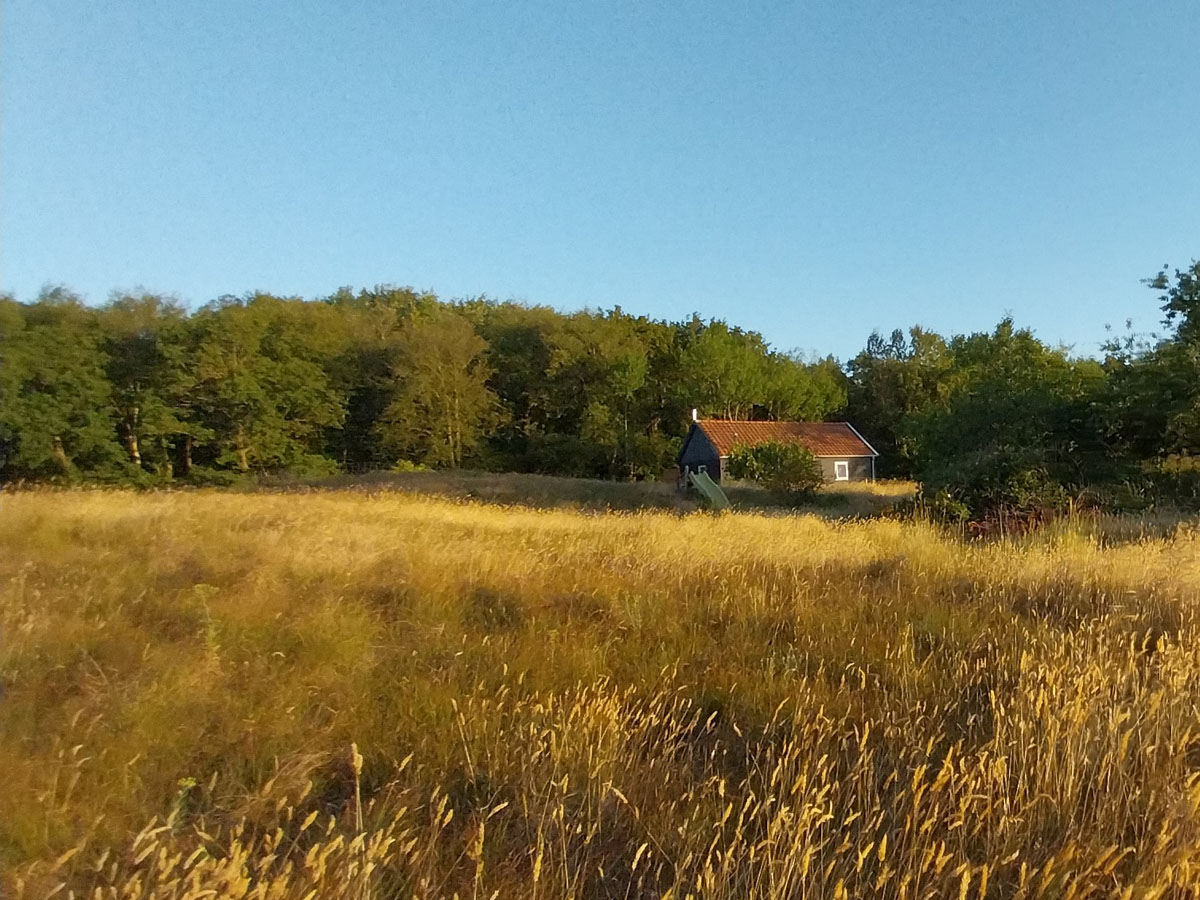 DE WEELDERNIS - scherm-41