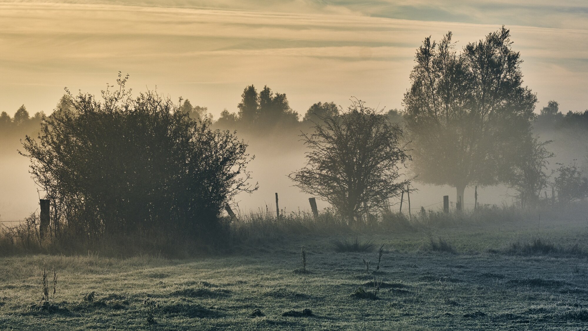 DE WEELDERNIS - scherm-57
